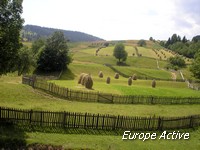 landscape romania bucovina