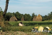 landscape romania maramures