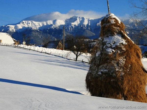 Snowshoeing Tour Carpathians Mountains Romania