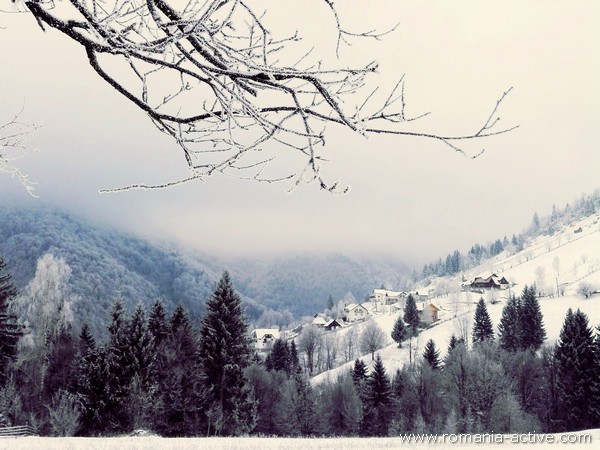 Snowshoeing Tour Carpathians Mountains Romania